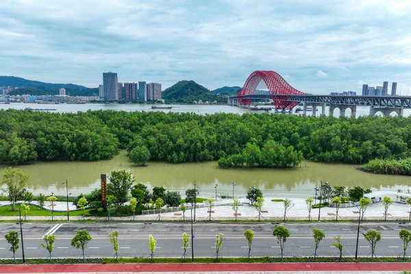 广州股票配资 生态与发展共舞，南沙守护“湾区之肺”的蓝色答卷｜湾区之心 蓝色脉动