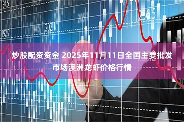 炒股配资资金 2025年11月11日全国主要批发市场澳洲龙虾价格行情