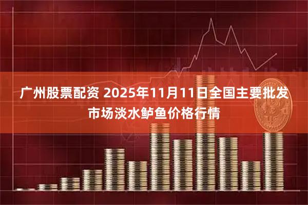 广州股票配资 2025年11月11日全国主要批发市场淡水鲈鱼价格行情
